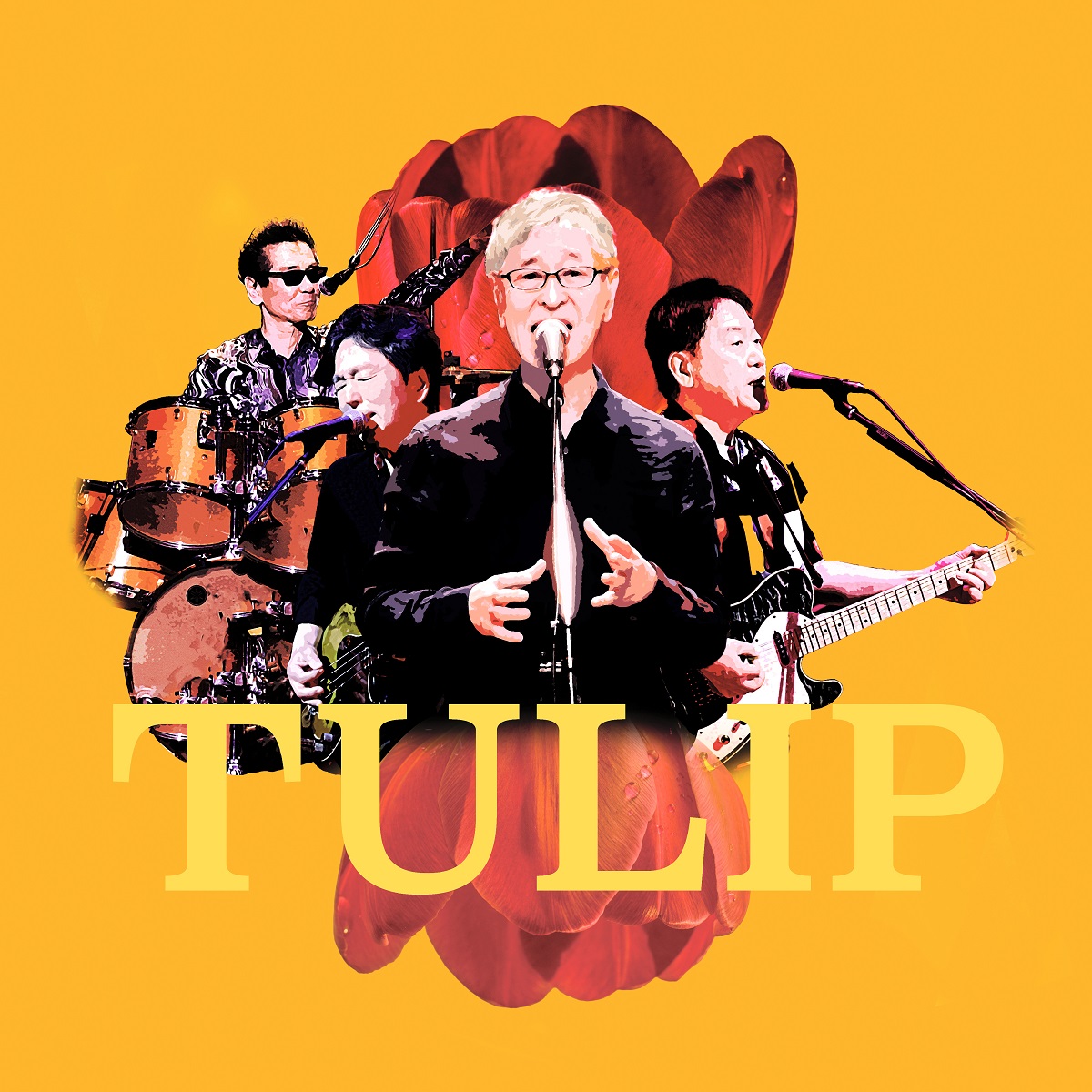 TULIP チューリップライブチケット２枚セット - 国内アーティスト